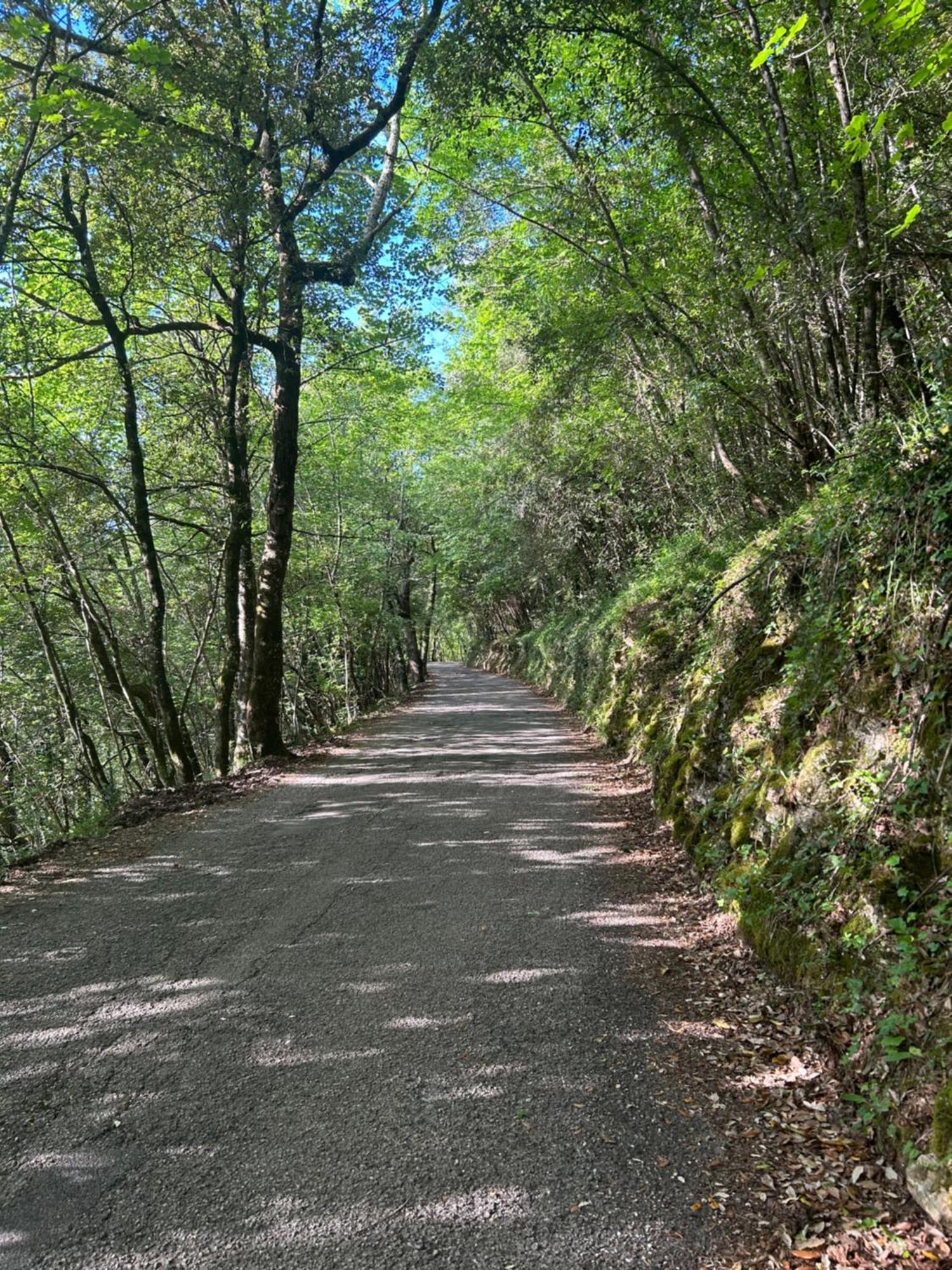 Appartamento Storico A Valle San Martino Di Spoleto Ngoại thất bức ảnh